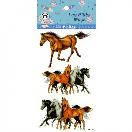 Grossiste tatouages éphémères, pour professionnels - FH220 garçons