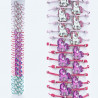 Tubo de pulseras de moda GSN143