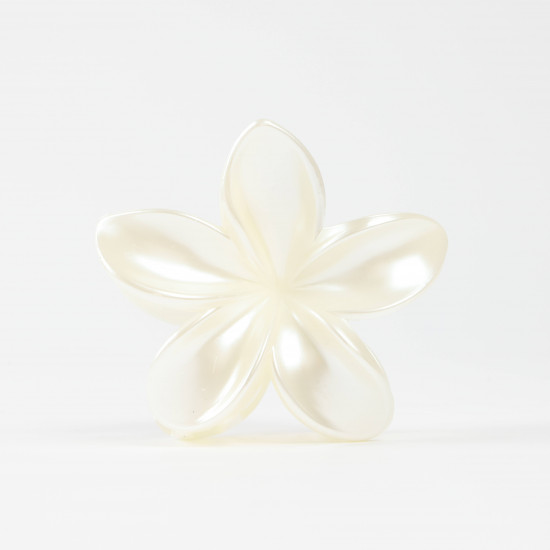 FELIZZ – Pinces à cheveux fleur pour professionnels
