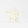 Pince à cheveux fleur Blanc nacré
