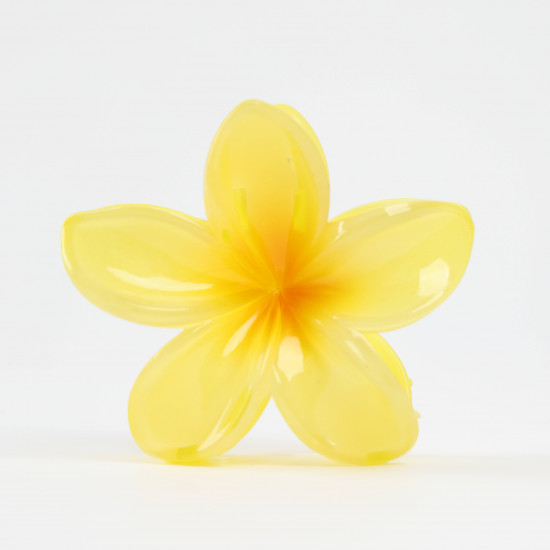 Pinzas para el pelo con flores originales - Wholesaler FELIZZ