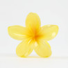 Pince à cheveux fleur Vanille