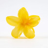 PINCE-FLEUR-031