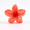 PINCE-FLEUR-032