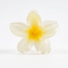 PINCE-FLEUR-033