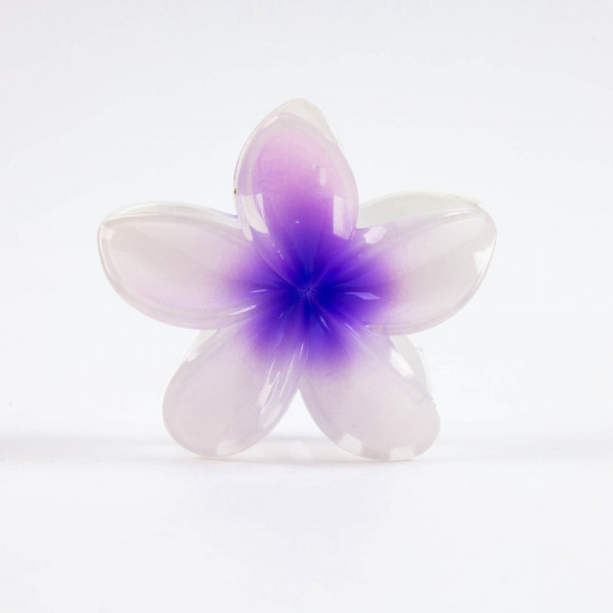 Trendy Flower Hair Clips - Wholesaler Felizz