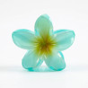 PINCE-FLEUR-036