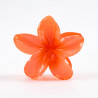 PINCE-FLEUR-037