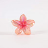 PINCE-FLEUR-039