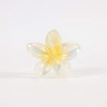 PINCE-FLEUR-041
