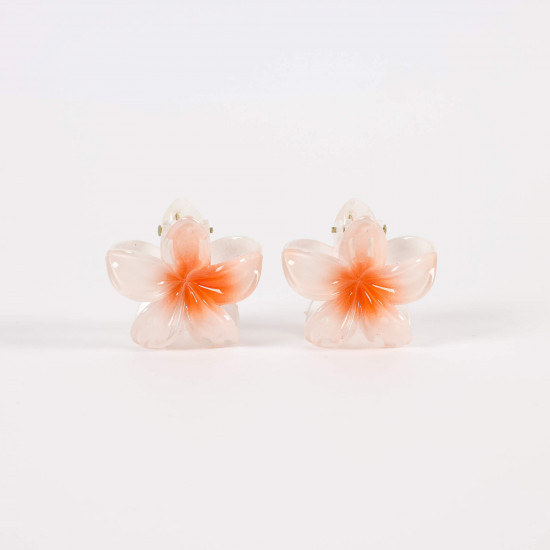 Petites Pinces à Cheveux Fleurs – Fournisseur Mode Felizz