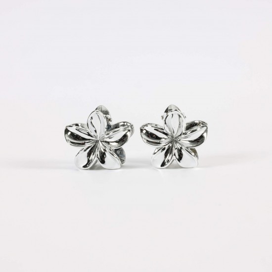 Petites Pinces Fleurs - Wholesaler Hair Accessories | Felizz