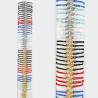 Tube bracelets GA1760